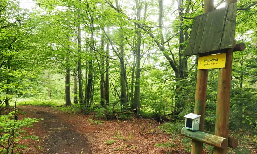 Peak of Wątkowa, 846 m above sea level