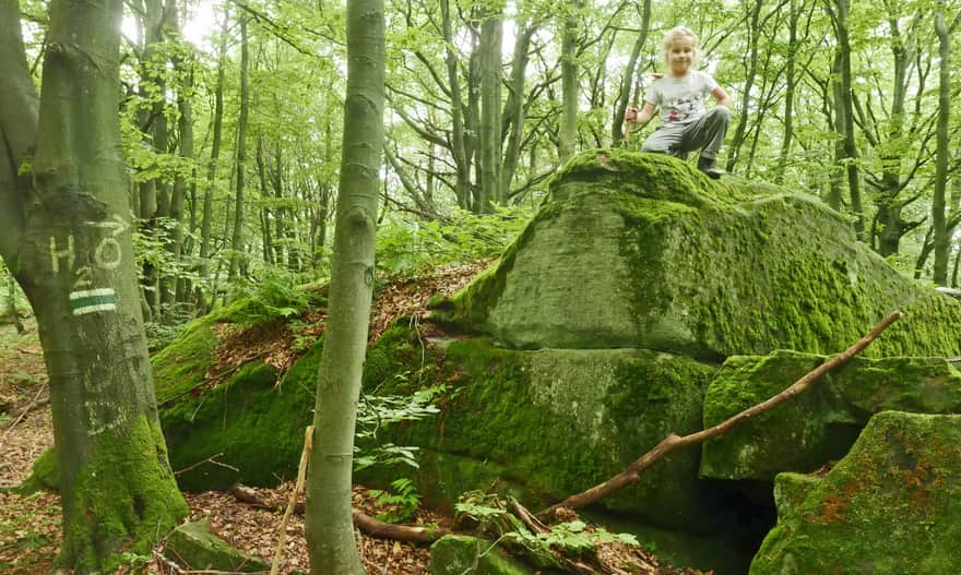 Sandstone boulders between Wątkowa and Magura