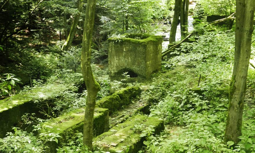 Ruins of a sawmill in the Kłopotnica Valley
