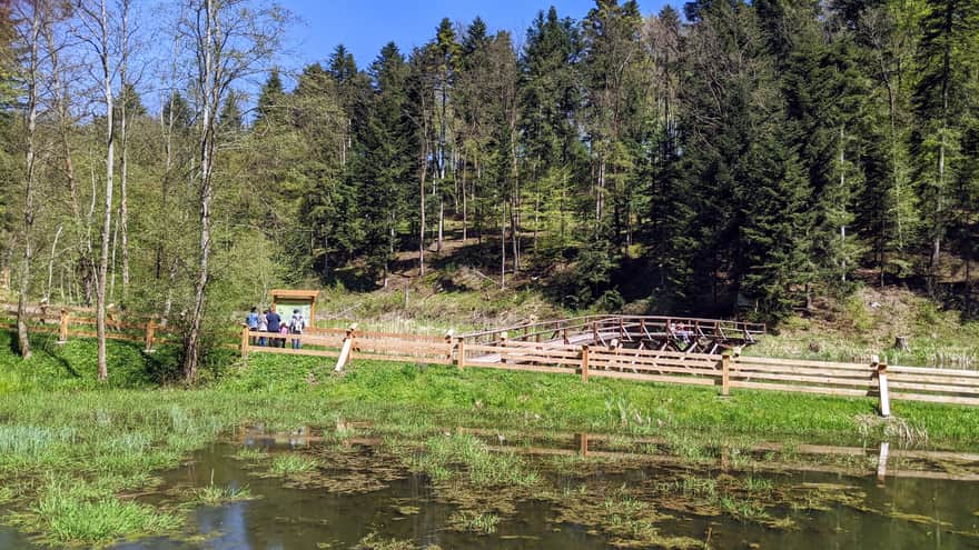 Three Ponds - Tuchowskie Forests
