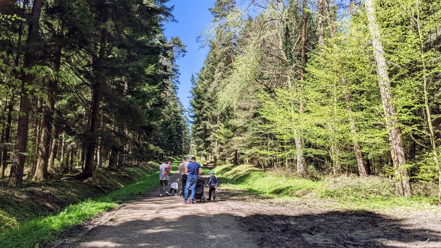 Ścieżka w Lesie Tuchowskim prowadząca do stawów