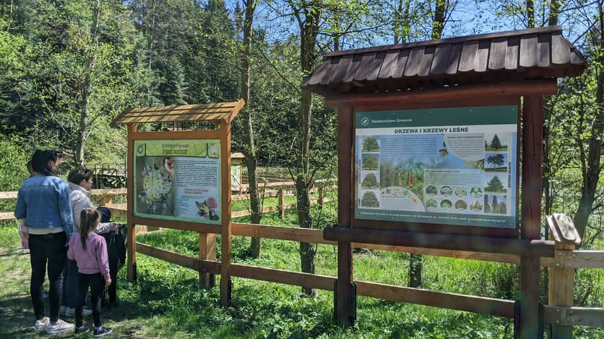 Educational Path Tuchowski Forest