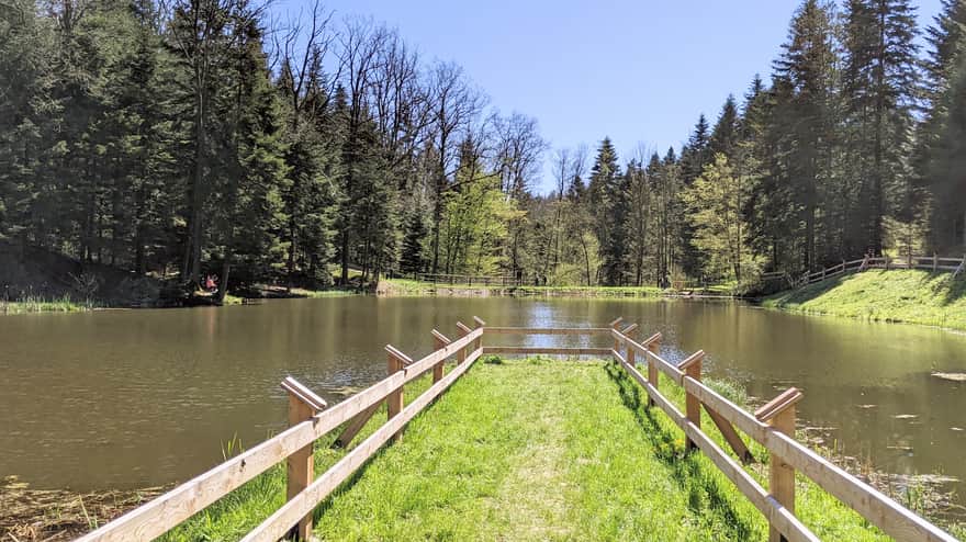 Three Ponds - Tuchowski Forest