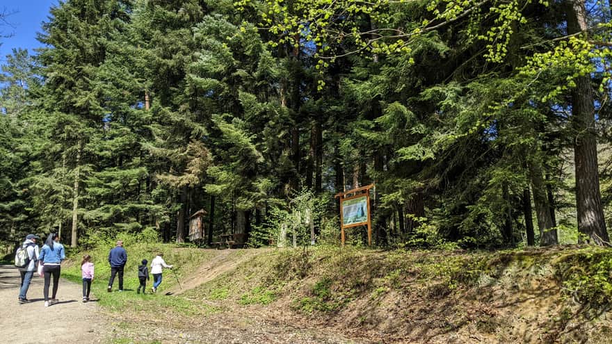 Ścieżka dydaktyczna Las Tuchowski