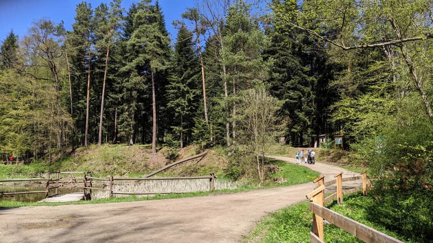 Three Ponds - Tuchowski Forest