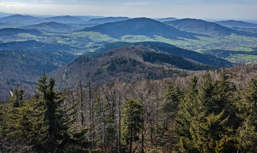 View from the tower on Mogielica to the northwest (Beskid Wyspowy)