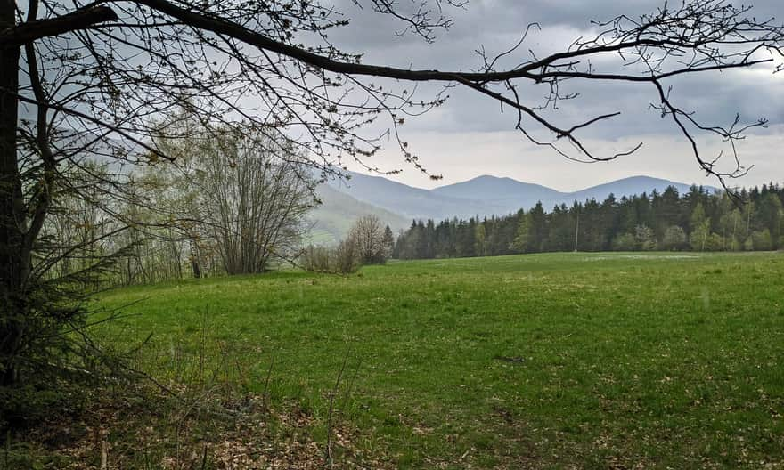 Widok z czerwonego szlaku Przełęcz Glisne - Luboń Wielki na północny-wschód: Lubogoszcz, Śnieżnicę i Ćwilin