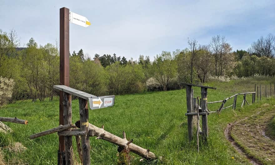 Initial section of the yellow trail in Rabka-Zaryte