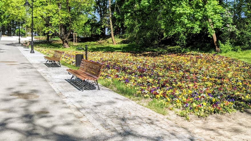 Bednarski Park