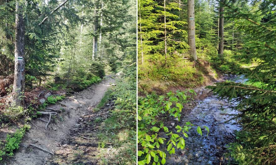 Green Trail to Polana Wały under Krzystonów, photo by B. and J. Stachurscy