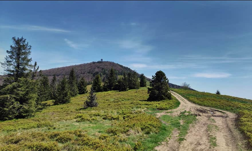 Approaching Polana Stumorgowa. Mogielica ahead, photo by B. and J. Stachurscy