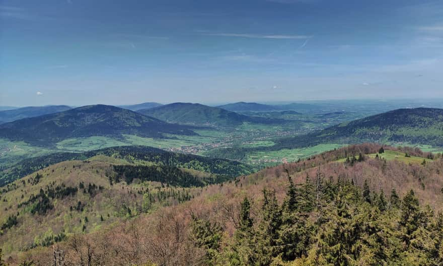 View from the tower on Mogielica towards Ćwilin, Śnieżnica, and the western slopes of Łopień, photo by B. and J. Stachurscy