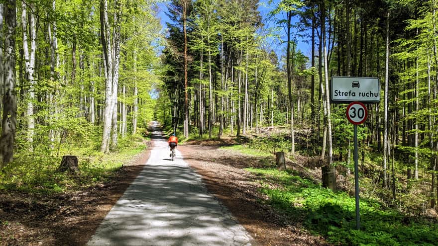 Asfaltowa droga i szlak rowerowy w Lasach Trzemeskich
