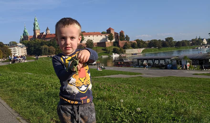 Groźny Smok Wawelski