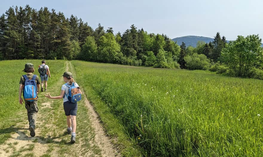 Yellow trail from Mszana Dolna. Ćwilin ahead!