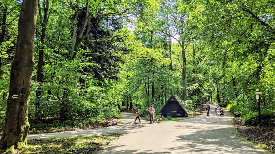 Intersection of trails near the Zoo