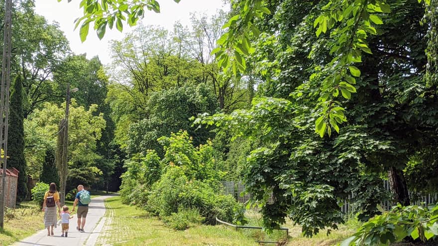 Aleja Panieńskie Skały