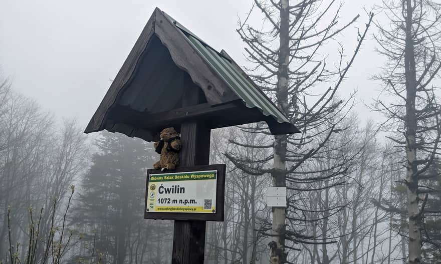 Ćwilin - peak, 1072 m above sea level