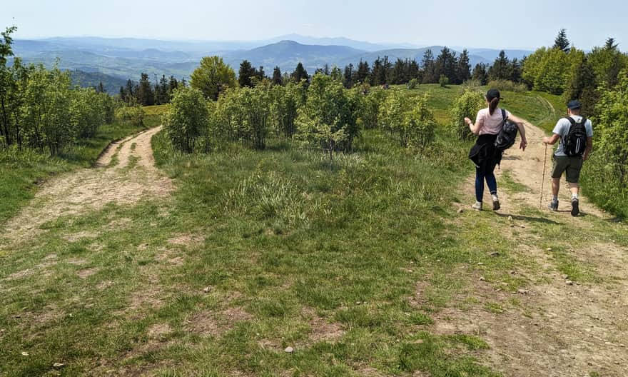 Polana Michurowa na Ćwilinie. Widok na zachód: Zamglona sylwetka Babiej Góry za Luboniem Wielkim