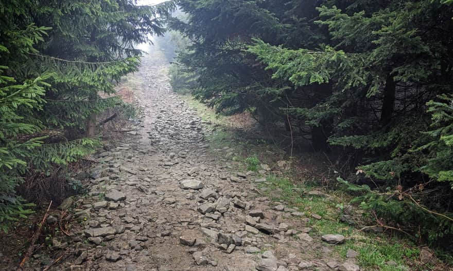 Jurków - Ćwilin, blue trail. The most difficult climb (fortunately not long).