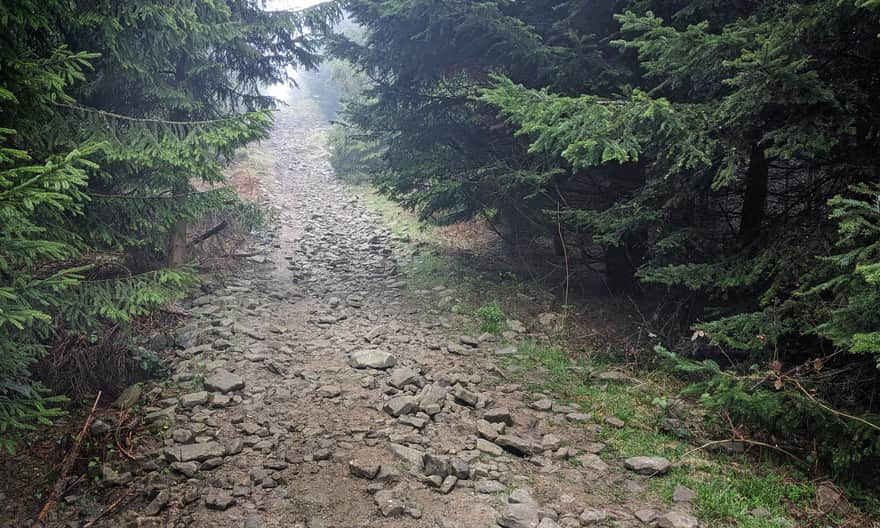 Jurków - Ćwilin, niebieski szlak. Najtrudniejsze podejście (na szczęście niedługie).