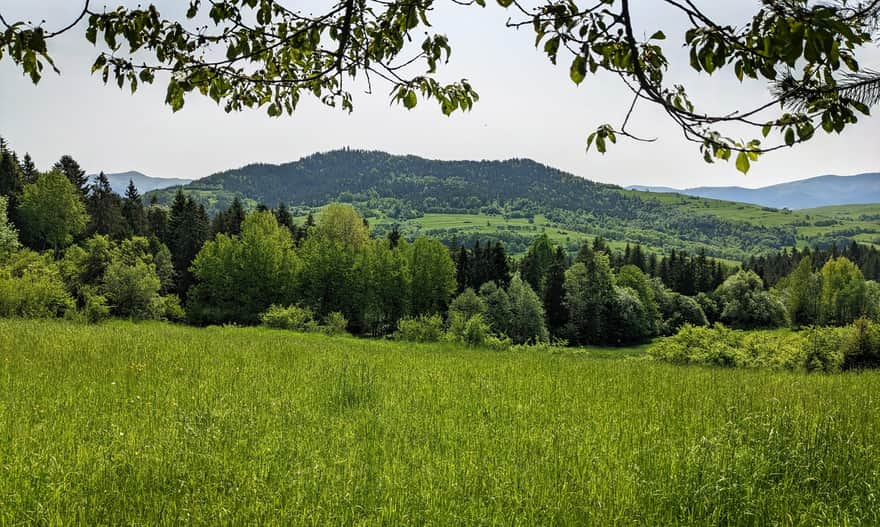 Ostra and Ogorzała from the trail to Czarny Dział. On the left, you can see the peak of Mogielica, on the right, it