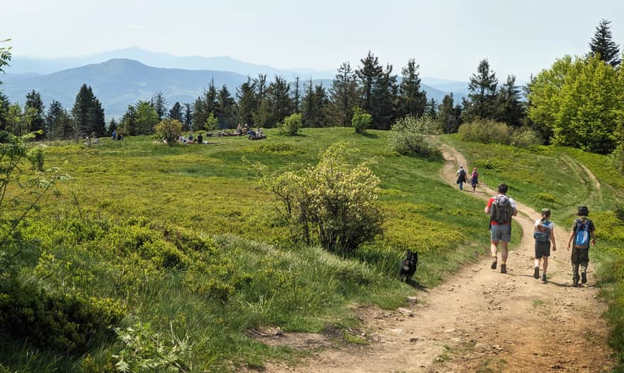 Michurowa Meadow on Ćwilin. View to the west: Babia Góra "hidden" behind Luboń Wielki