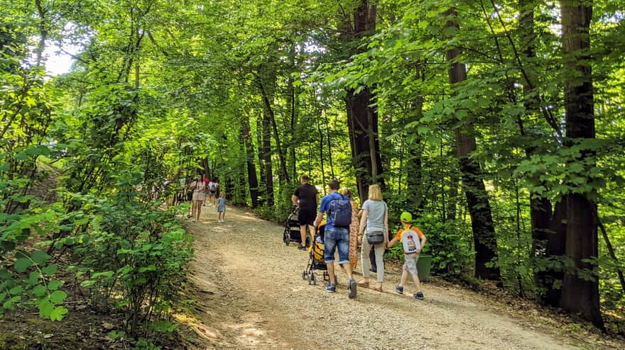 Route from the parking lot to the Zoo in Wolski Forest