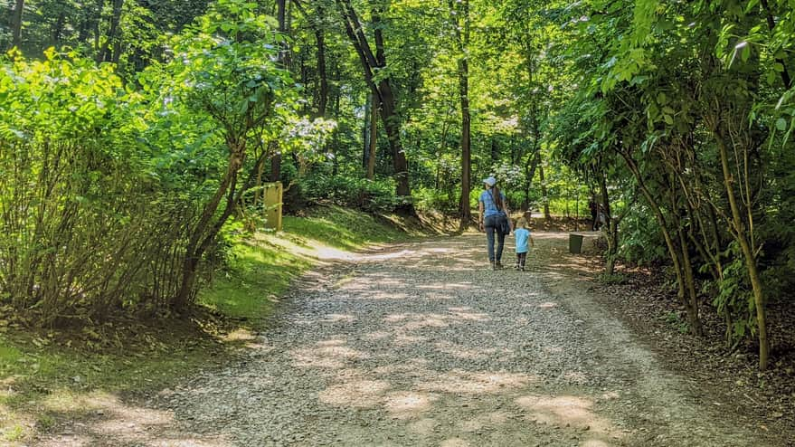 Route from the parking lot to the Zoo in Wolski Forest