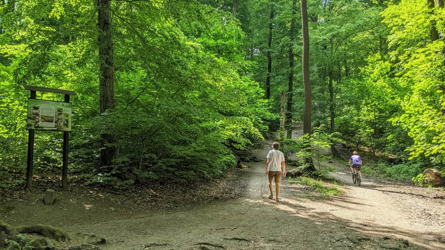 Green Trail to Piłsudski Mound in Wolski Forest