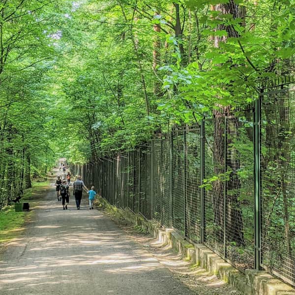 Wokół Zoo - spacer z wózkiem w Lesie Wolskim