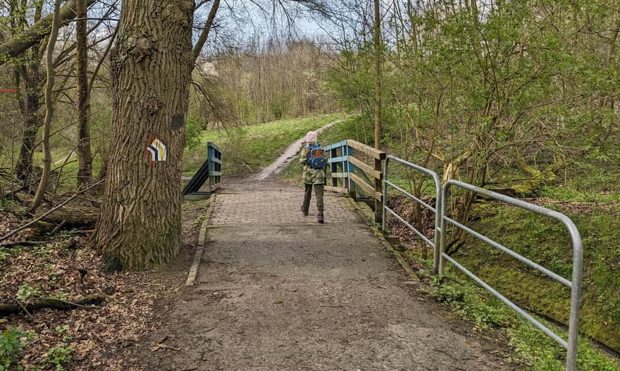 Black trail: from Panieńskie Skała to the zoo