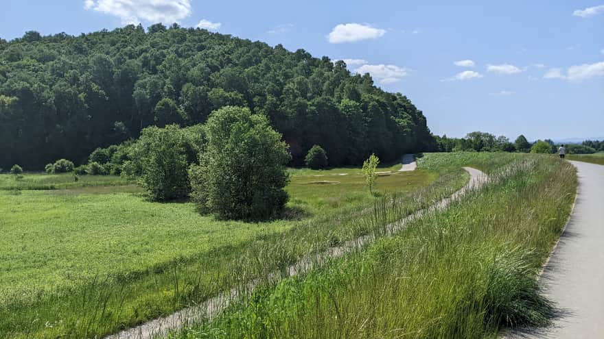 Widok na Grodzisko z wałów Wisły i Wiślana Trasa Rowerowa