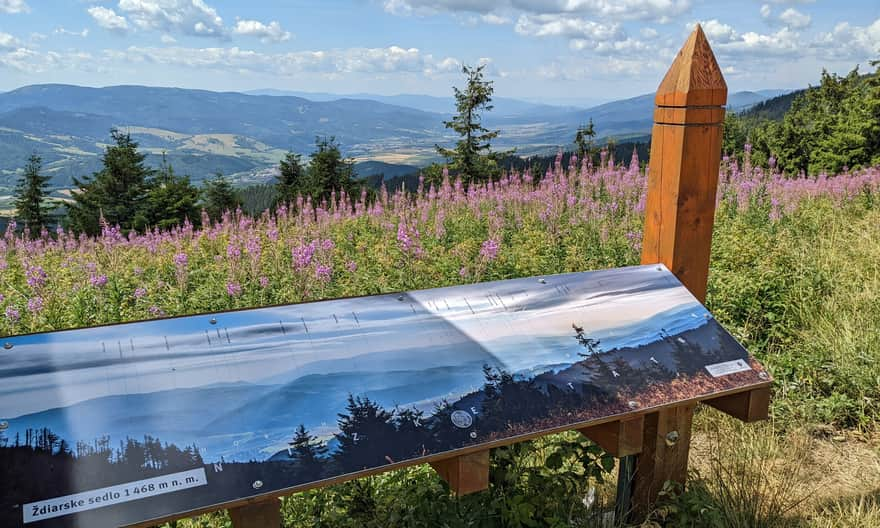 Ždiarske sedlo - panorama na południe