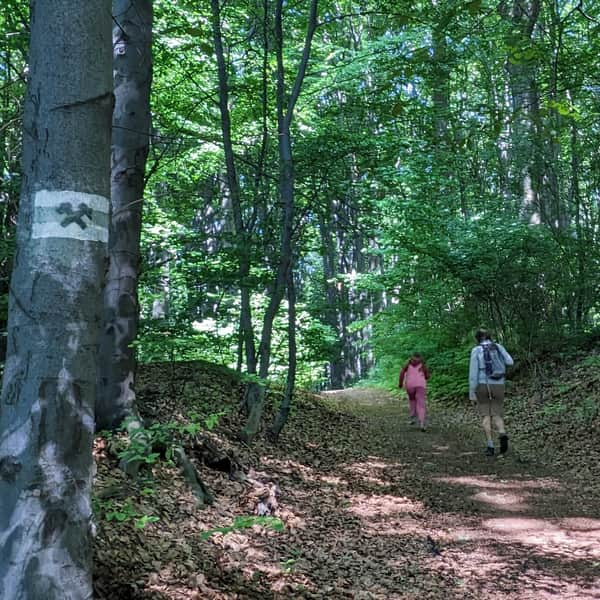 Segiet Reserve - trail from Sucha Góra to the Historic Silver Mine