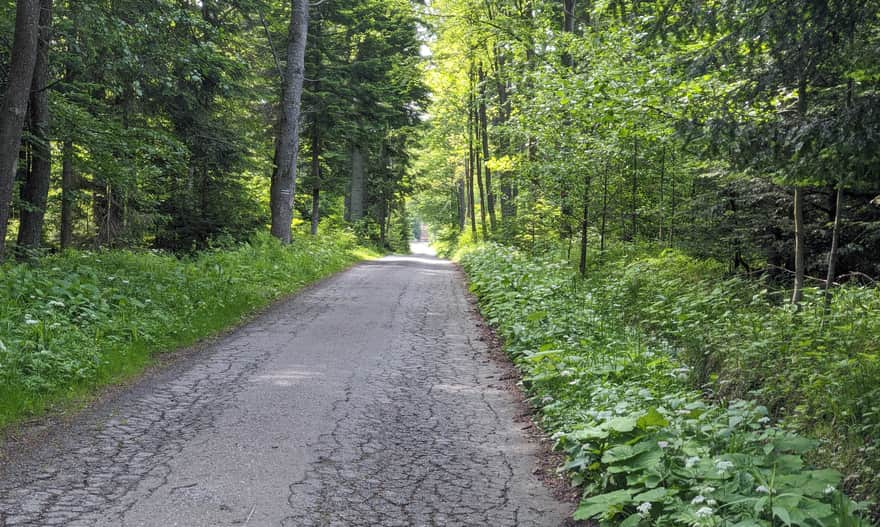 Green trail from Koszarawa - Cicha