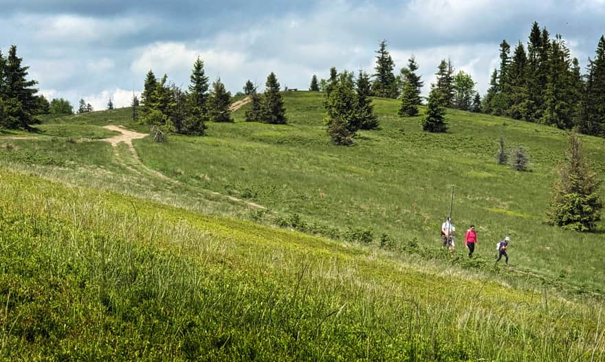 Janoszkowa Glade at Lachów Groń