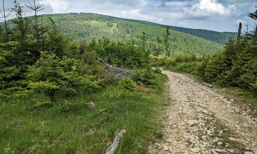 Yellow trail between Jałowiec and Czerniawa Sucha (view of Jałowiec)