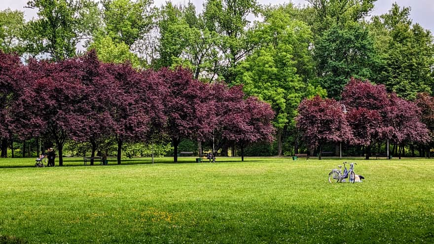 Picnic meadows, Kościuszko Park in Katowice