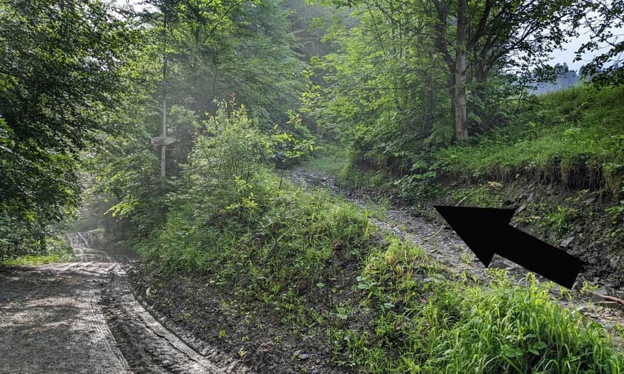The Black Trail to Bacówka nad Wierchomlą