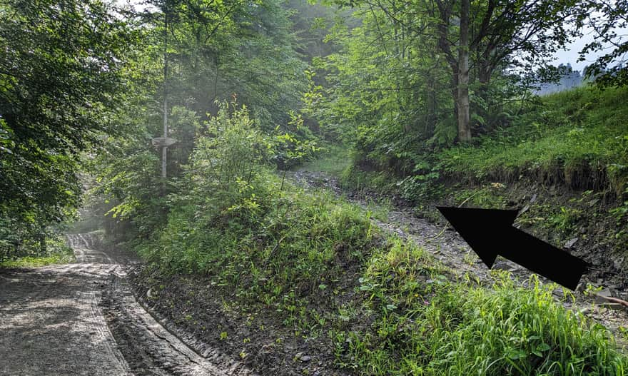 Czarny szlak do bacówki nad Wierchomlą 