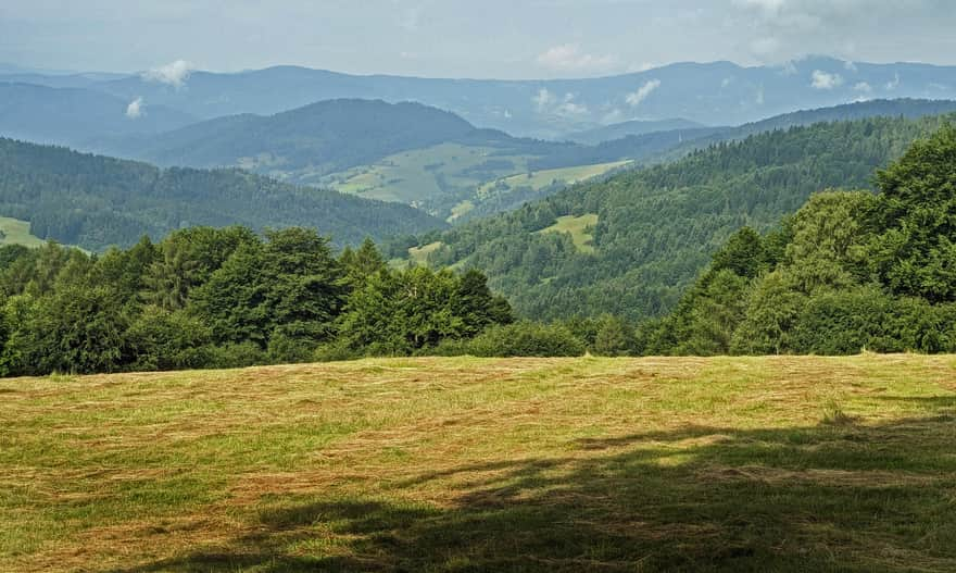 Widok z łąki pod Bacówką nad Wierchomlą na Eliaszówkę, Rogacz i Radziejową. 