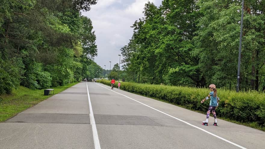 Aleja Trzech Stawów w parku Muchowiec