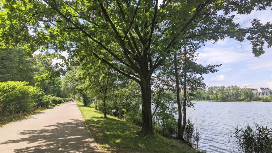 Three Ponds Avenue near Łąka Pond