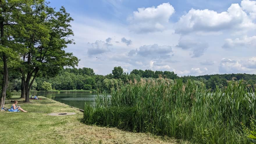 Staw Łąka, Dolina Trzech Stawów, Katowice