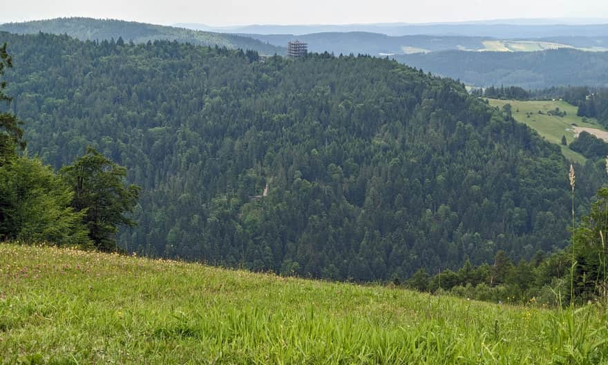 Wieża Słotwiny widziana z zielonego szlaku na Jaworzynę Krynicką