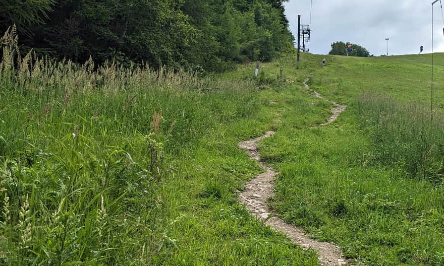 Green trail to Jaworzyna Krynicka - passing along the edge of the ski slope