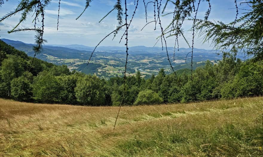 Polana Kretówki przy czerwonym szlaku - widok na zachód: Dolina Popradu, Gorce i Beskid Wyspowy.