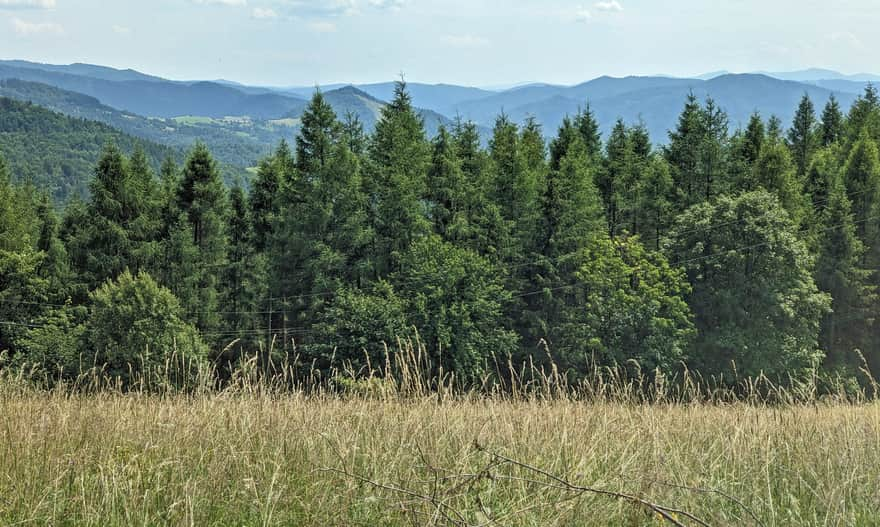 Kretówki Meadow: view to the southwest