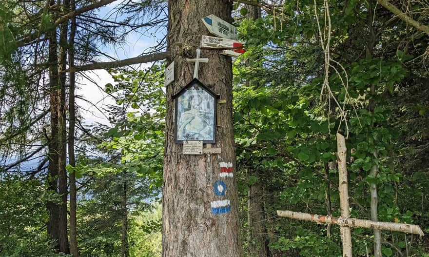 Kretówki Meadow: red trail from Rytro to Cyrla and blue municipal trail from Młodów